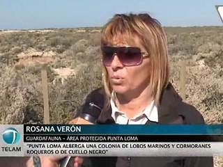 Punta Loma, una reserva abierta todo el año