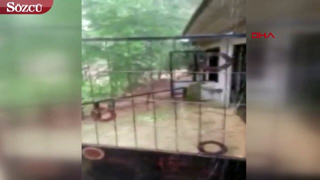 Rize'de heyelan; 3 motosikletli mahsur kaldı, bölgeye ekipler sevk ediliyor