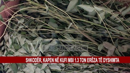 SHKODËR, KAPEN NË KUFI MBI 1.3 TON ERËZA TË DYSHIMTA