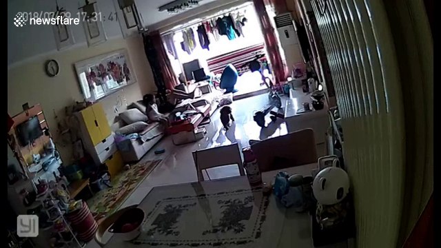 Dad, daughter and dog flee as electric scooter explodes in Beijing living room while charging