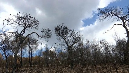 Neue Gefahr in Griechenland: Nach den Bränden drohen Überschwemmungen