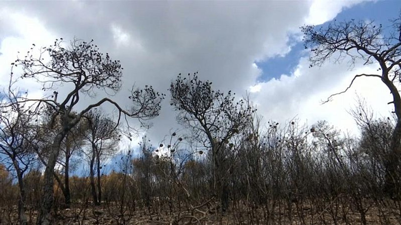 Neue Gefahr in Griechenland: Nach den Bränden drohen Überschwemmungen