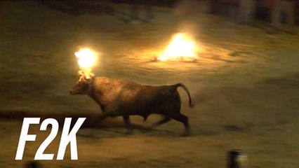 A Espanha vai parar com suas tradições cruéis?