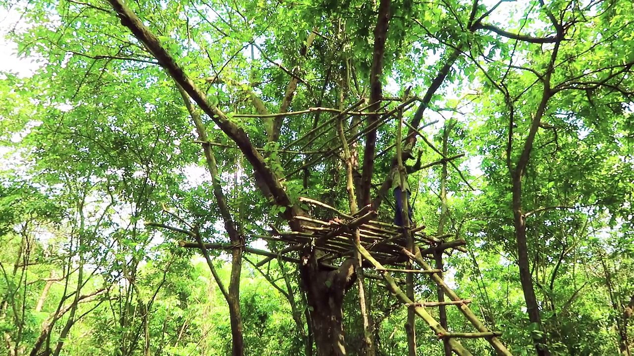 Life In Tropical Forest _ Tree House Construction,