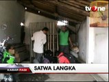 Petugas BKSDA Sita Tiga Jenis Burung Langka