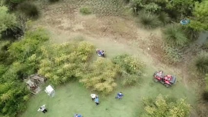 Babasının Arabasını Alıp Kaçtı, Ormanda Kayboldu