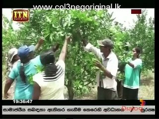 Atapattama 01-08-2018