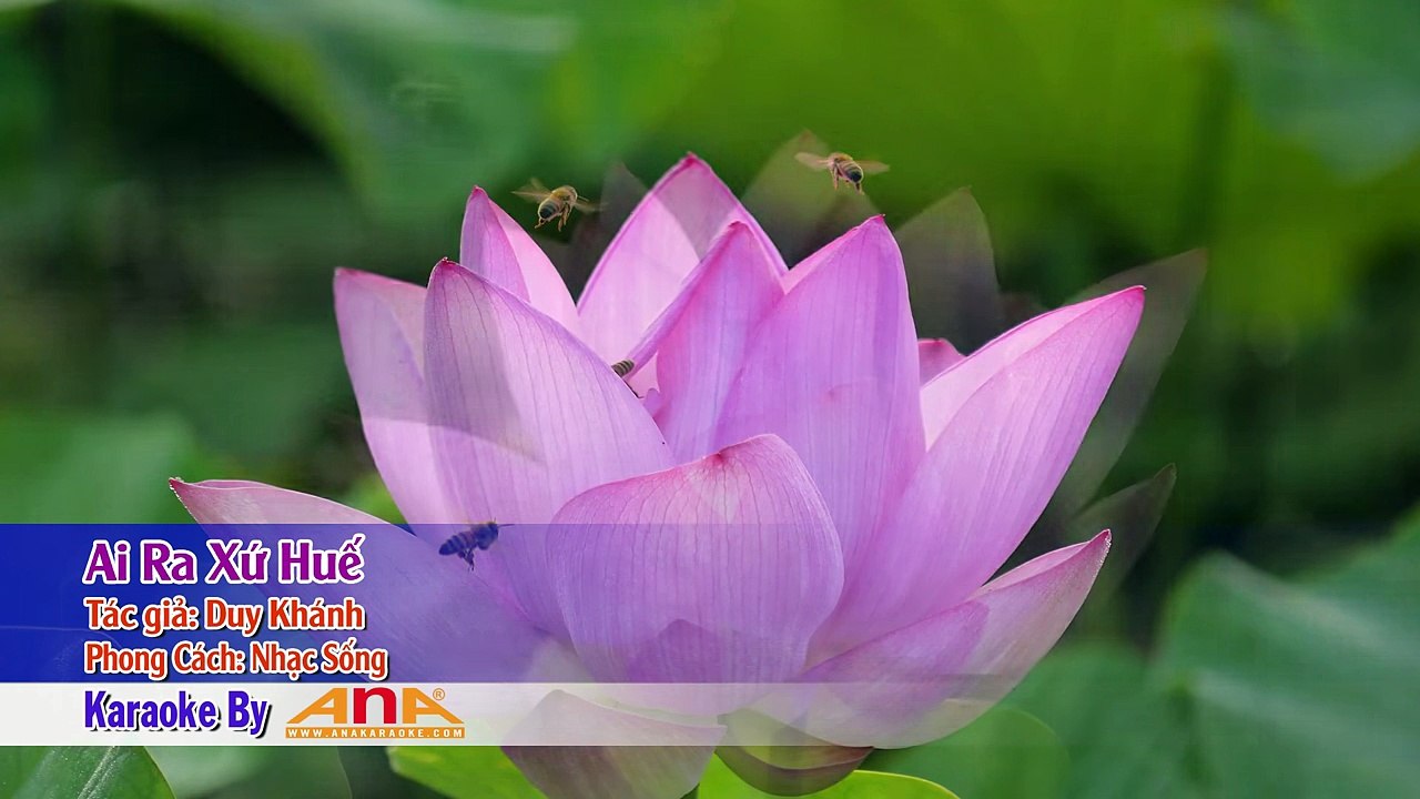 [KARAOKE ANA] AI RA XỨ HUẾ -KARAOKE  NHẠC SỐNG