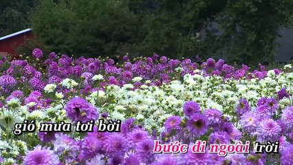 [KARAOKE ANA] AI ĐI NGOÀI SƯƠNG GIÓ KARAOKE BEAT PHỐI MỚI