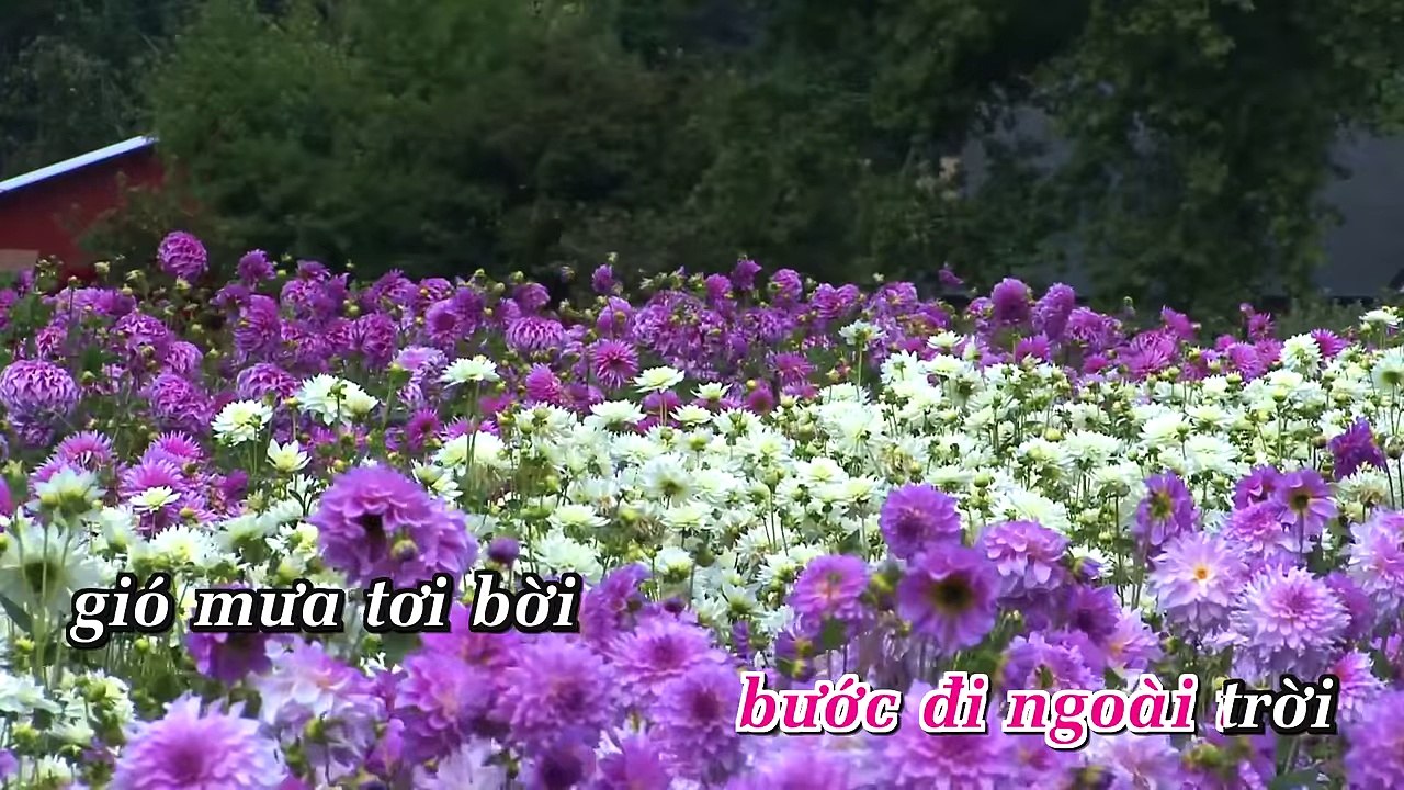 [KARAOKE ANA] AI ĐI NGOÀI SƯƠNG GIÓ KARAOKE BEAT PHỐI MỚI