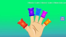 JELLY GUMMY BEAR Finger Family | GUMMY BEAR Finger Family Nursery Rhymes For Children