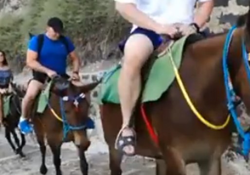 Santorini Donkey Owners Attack Animal Welfare Protesters