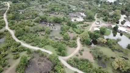 Kaza Yaptıktan Sonra Kaçan Genç Bulundu - Bursa
