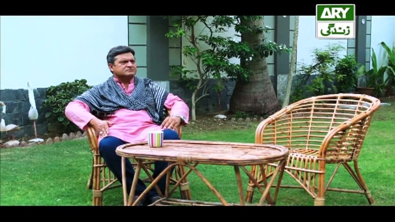 Mein Mehru Hoon Ep 205 & 206 - on ARY Zindagi in High Quality 1st August 2018