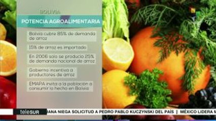 Bolivia se encamina a convertirse en importante productor de alimentos