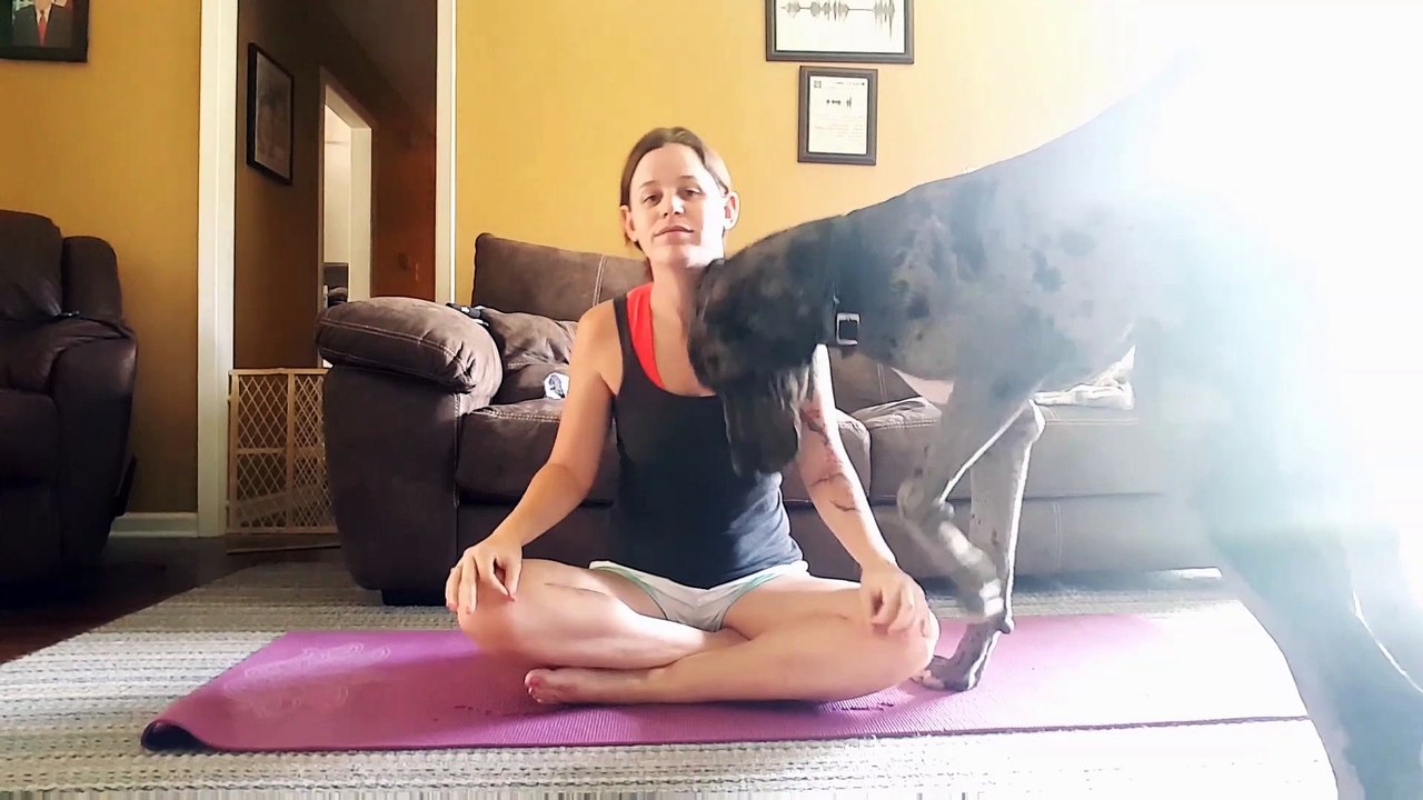 Overly-attached Great Dane makes owner's yoga session difficult