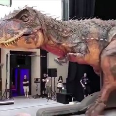 Что вы скажете на это?