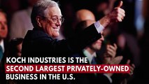 Who are the Koch Brothers?