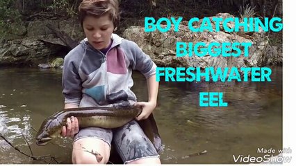 Boy catching biggest freshwater eel