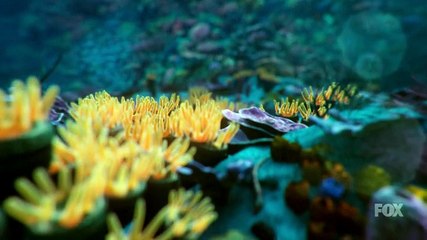 Cosmos A Space Time Odyssey S01E09 The Lost Worlds of Planet Earth