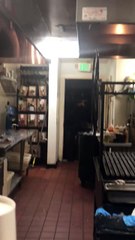 Bear Walks into Kitchen