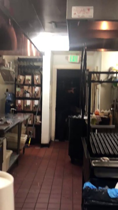 Bear Walks into Kitchen