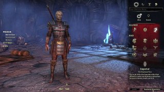 The Elder Scrolls Online Top 5 Tips for New Players