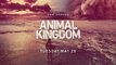 Animal Kingdom - Promo 3x11
