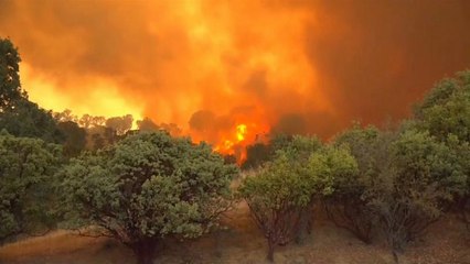 آتش در کالیفرنیا؛ آرام شدن وزش باد به آتش‌نشانان یاری می‌رساند