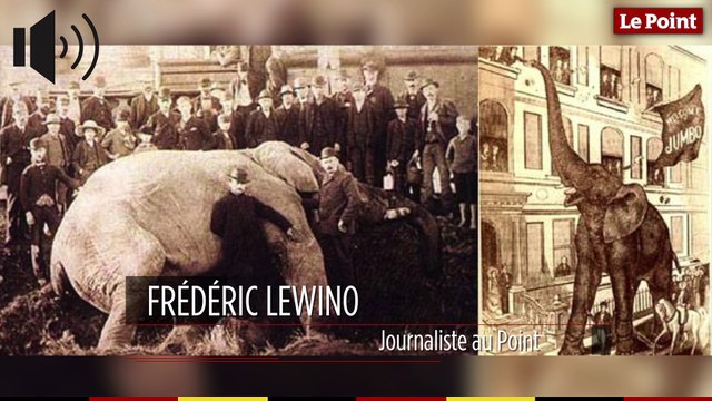 15 septembre 1885 : le jour où l'éléphant Jumbo est tué par un train