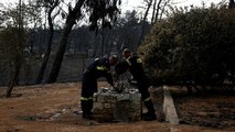 Waldbrände in Griechenland: Sind illegal gebaute Häuser schuld an der Tragödie?