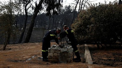 Download Video: Waldbrände in Griechenland: Sind illegal gebaute Häuser schuld an der Tragödie?