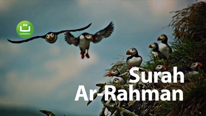 Tadabbur Surah Ar Rahman Sangat Menyentuh - Zain Abu Kautsar - Al Quran
