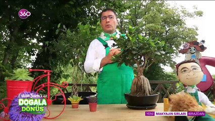 Doğala Dönüş