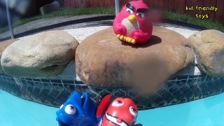 Finding Dory Angry Birds Pool Adventure with Surprise eggs kid friendly toys