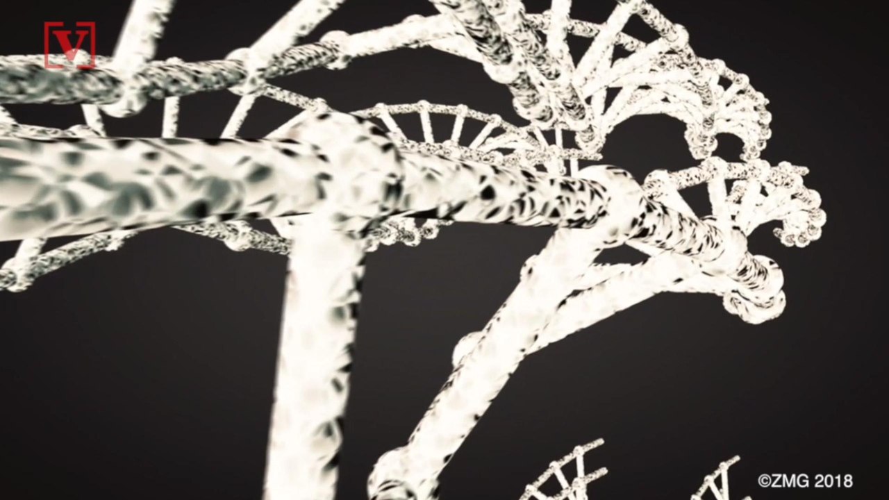 DNA-testing Companies Promise Not to Share Information Without Consent