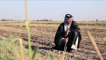 Gases de efecto invernadero en nivel récord en el mundo en 2017