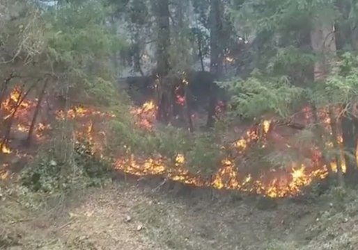 Deadly Carr Fire Spreads Into Neighboring California County