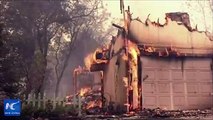 Some 36,000 firefighters struggling against one of the most destructive wildfires in California history hoped calmer winds on Tuesday would allow them to make m