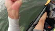 Michael Covino played tug of war with a 200-pound hammerhead shark that latched onto his bait while he was fishing in his kayak. After struggling for 15 minutes