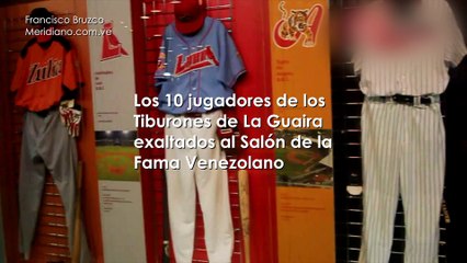 Erwin Miyasaka te muestra los 10 “tiburones” que están en el Salón de la Fama