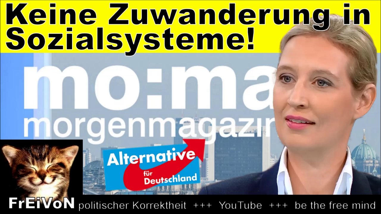 AfD * WEIDEL: Brauchen keine ZUWANDERUNG in SOZIALSYSTEME * INTERVIEW Morgenmagazin HD