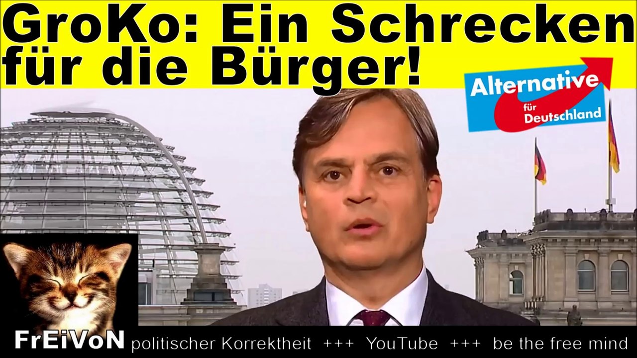 AfD * GroKo ist ein SCHRECKEN für die Bürger! STATEMENT Baumann zu Staatsversagen u. Sondierungen HD