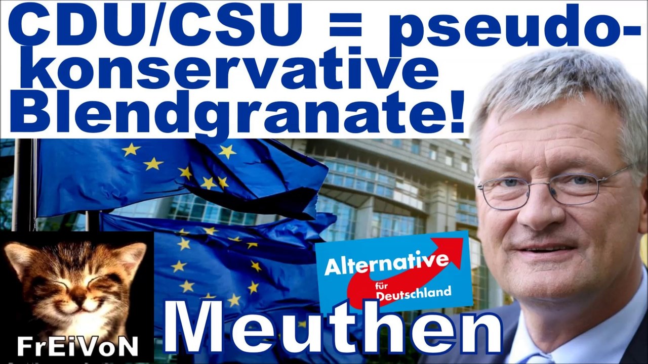 AfD * EU: HEUCHELEI beim FAMILIENNACHZUG! Meuthen: UNION ist PSEUDOKONSERVATIVE BLENDGRANATE! * HD
