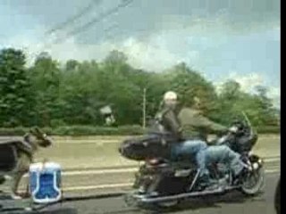 Motorcycle Tows Dog On Highway