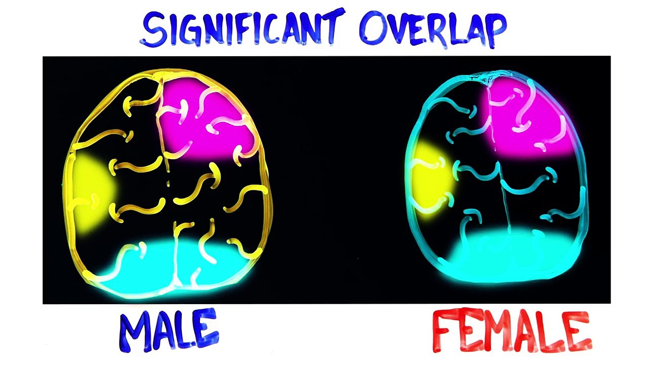 Are Boys Smarter Than Girls?