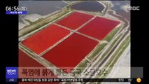 [이 시각 세계] 폭염에 붉게 물든 중국 소금호수