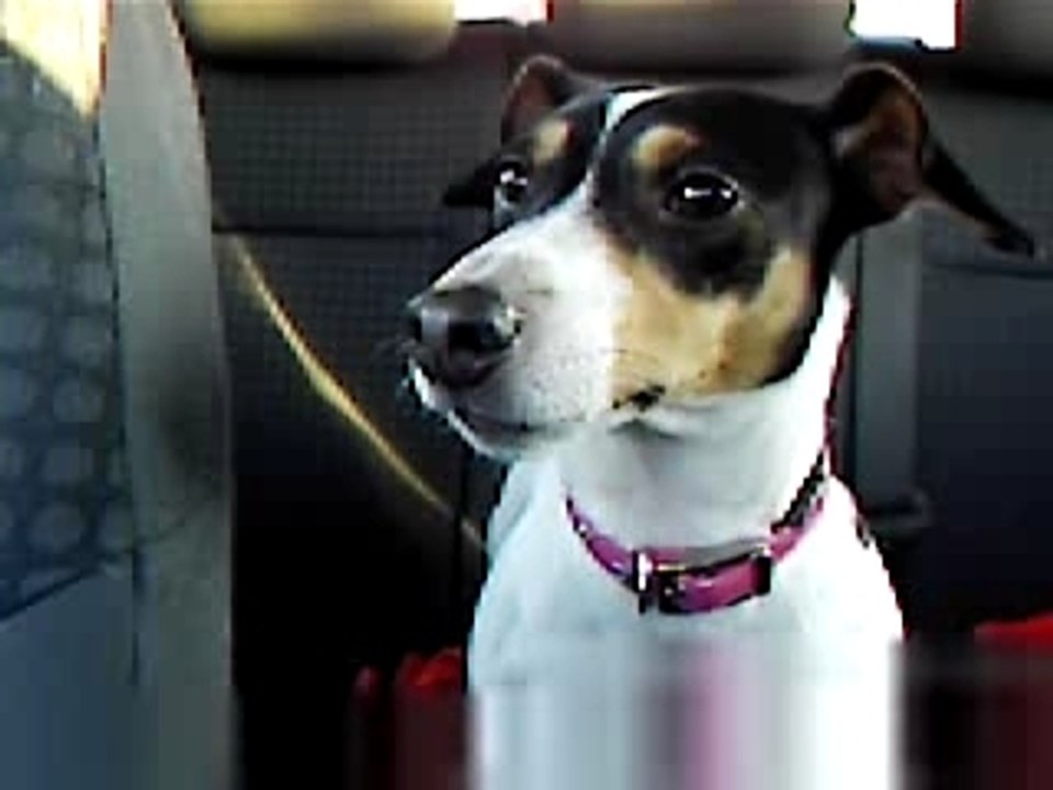 lola dans la voiture