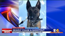 Murder Suspect, Police K9 Killed in Shootout with Virginia Police