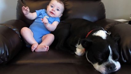 Dog Runs Away When Baby Poops